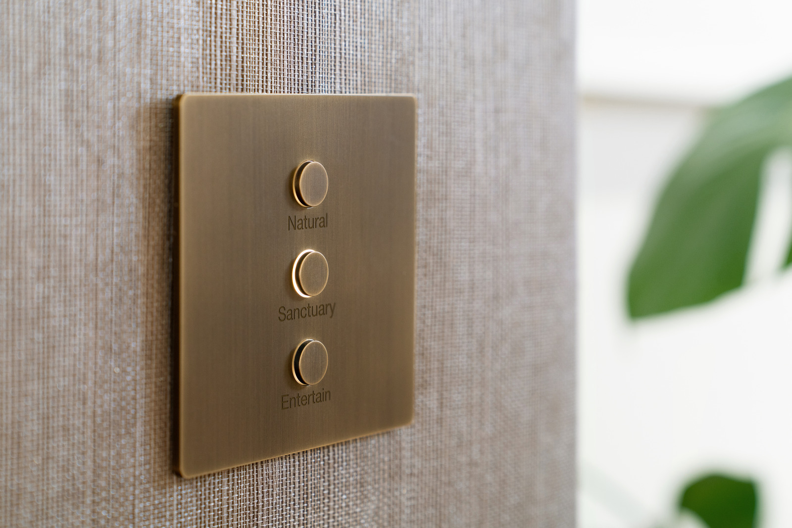 A brass Lutron Alisse keypad with three engraved scene buttons on a textured wall