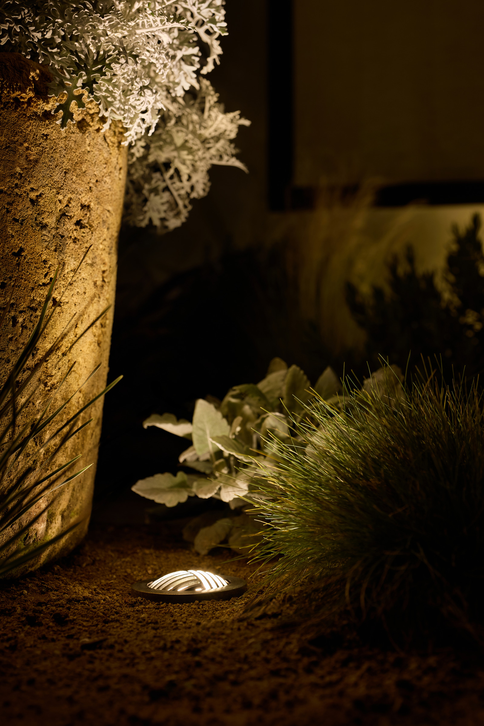 A recessed landscape light highlights a textured planter and nearby planting at night